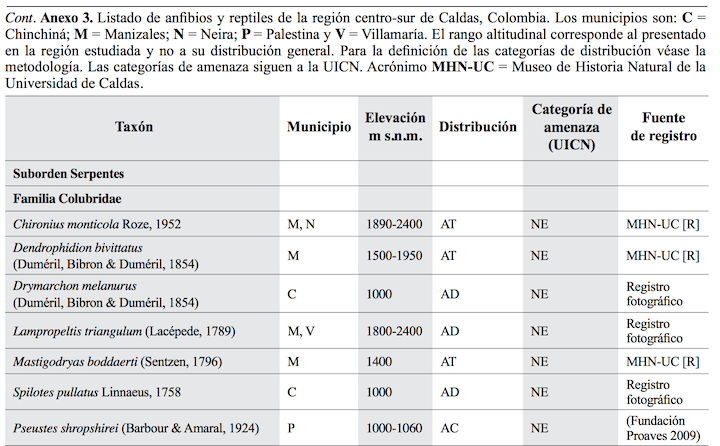 Rojas table